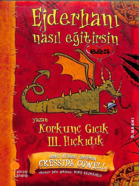 Ejderhanı Nasıl Eğitirsin