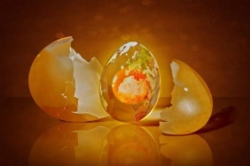 Yumurta Öyküsü