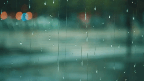 yağmur
