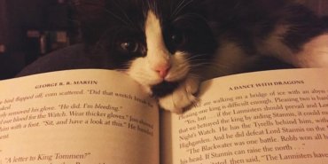 Kitap Listesi Yaparken Nelere Dikkat Etmeliyiz?