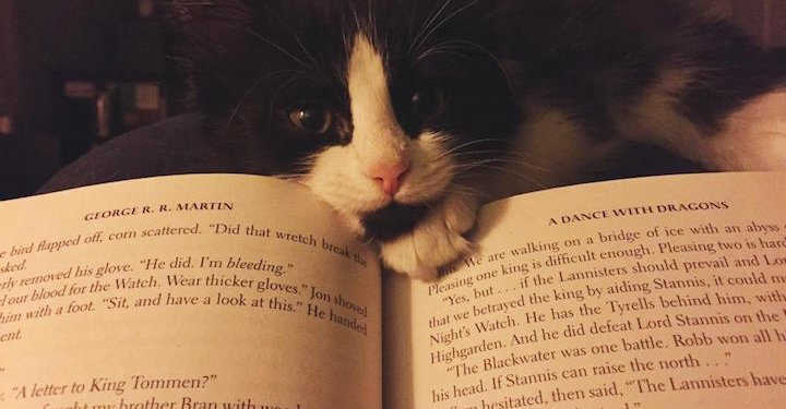 Kitap Listesi Yaparken Nelere Dikkat Etmeliyiz?
