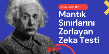 Zeka Testi
