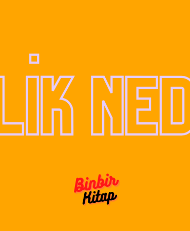 Pislik Nedir