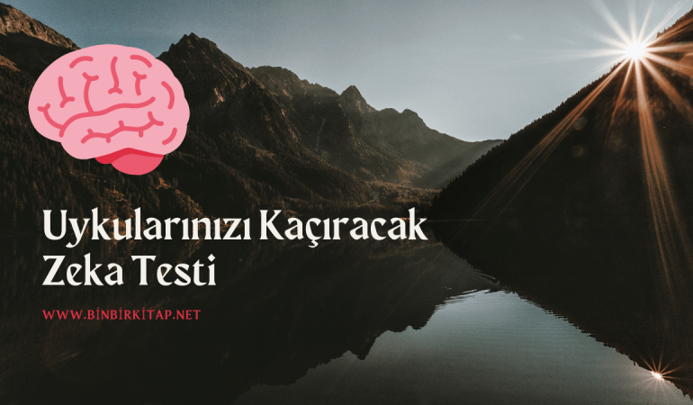 Uykularınızı Kaçıracak Zeka Testi