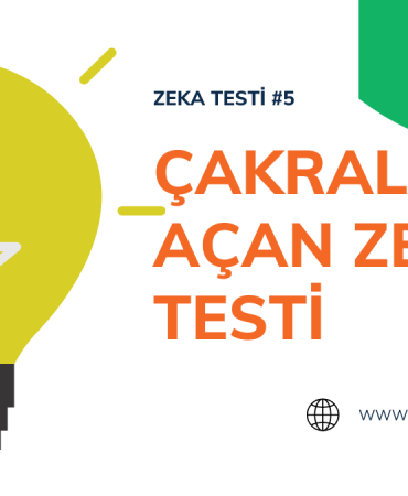 zeka testi