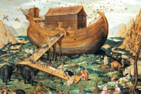 Nuh Diyor Peygamber Demiyor