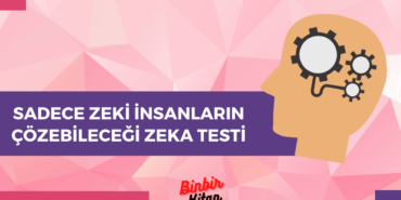 zeka testi