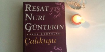 Çalıkuşu Kitabından Alıntılar