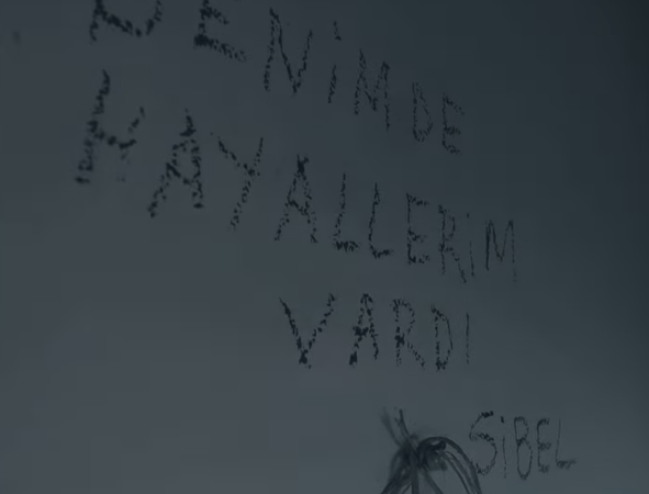 hayallerim vardı
