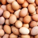Her Yumurta Köy Yumurtası Değildir