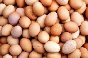 köy yumurtası anlama