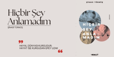 Hiçbir Şey Anlamadım şinasi türmüş