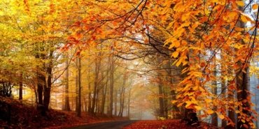 kenan kara şiirleri