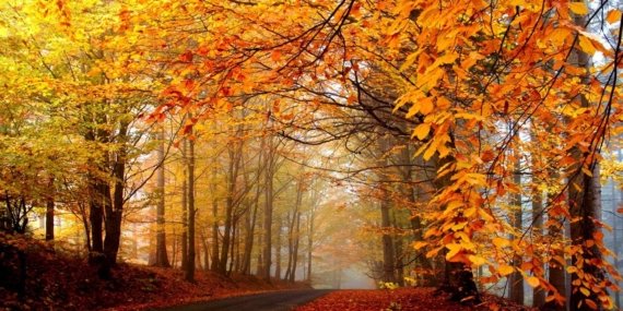 Kenan Kara Şiirleri