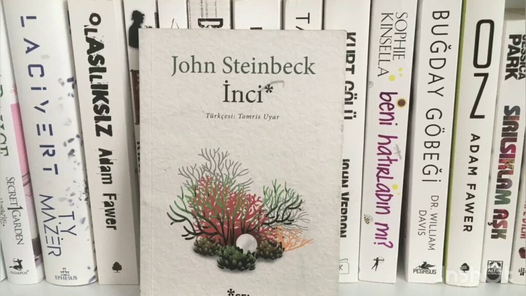 Inci John Steinbeck 101 Sayfa