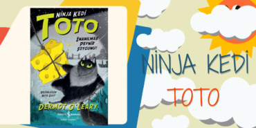 ninja kedi toto