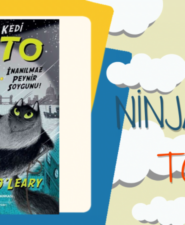 ninja kedi toto