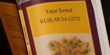 yaşar kemal kuşlar da gitti