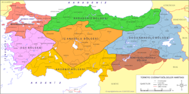 17392877832019438092