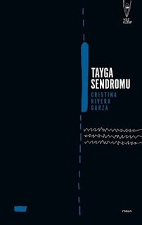 Dilin Belirsizliği ve Tayga: Anlatı Arayışı 1 Dilin Belirsizliği ve Tayga