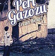 ercan-kesalin-peri-gazozu-kitap-incelemesi-2qjT3d7G.jpg
