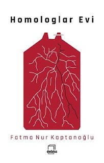 Kaptanoğlu'nun İkinci Kitabı: Dedalus Üzerine İnceleme 3 Diğer Öyküler