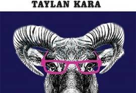 taylan-karanin-vasat-edebiyat-elestirileri-uzuG2RB6.jpg
